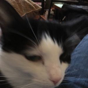 Meet your Posher, Brendan